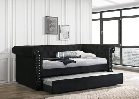 Black velvet twin daybed with twin trundle and nailhead design
