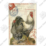 Chicken Tin Sign Vintage Metal Sign Plaque Metal Vintage Farmhouse Wall Decor Rooster Retro Metal Signs(20x30cm)